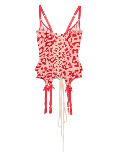 WILDCAT 紧身胸衣