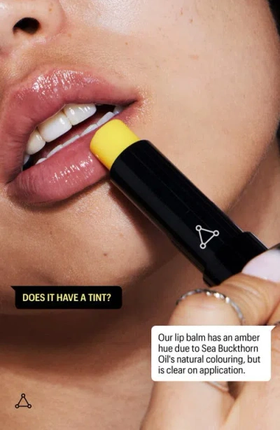 Allies Of Skin Peptide And Ceramide Repair Lip Balm In No Color