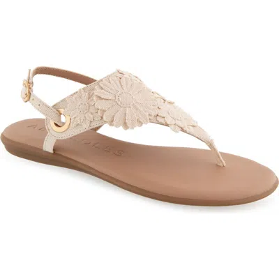 Aerosoles Women's Connie Round Toe Flat Sandals In Natural Canvas