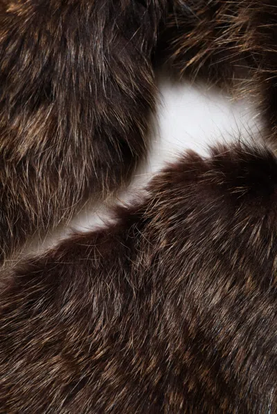 Dolce & Gabbana Brown Raccoon Fur Neck Warmer Winter Scarf In Brown