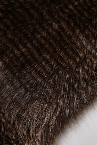 Dolce & Gabbana Brown Raccoon Fur Neck Warmer Winter Scarf In Brown