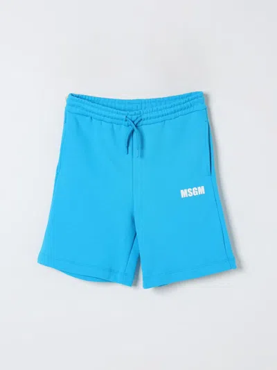 Msgm Cotton Shorts In Türkis