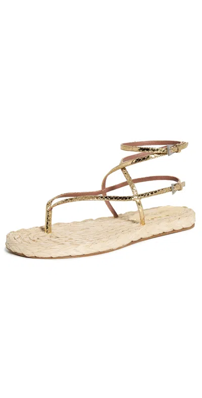 Paris Texas Lace-up Sandals In Natural Raffia And Gold Metallic Python-print Leather In Gold/naturale