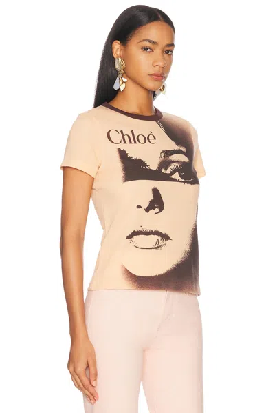 Chloé Women Multicolor Crewneck T-shirt With Maxi Graphic Print On The Front In Wool Blend Woman In Neutral