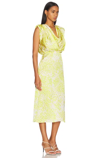 Sev Print Draped Midi Dress In Lima Print