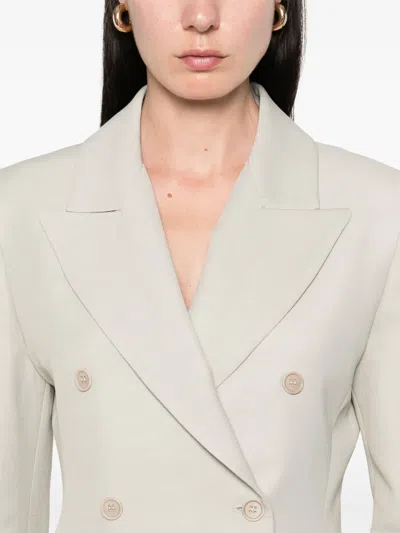 P.a.r.o.s.h Double-breasted Blazer In Grey