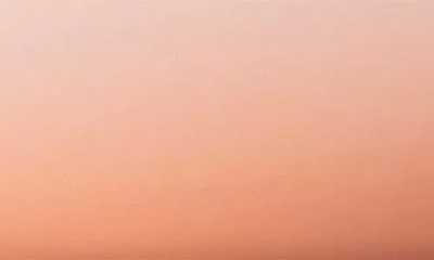 Le Creuset Enameled Cast Iron Signature Round 2.25-qt. Braiser With Glass Lid In Peche