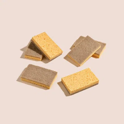 Element Brooklyn : Plant-based Kitchen Sponges