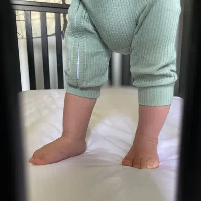 Ettitude Signature Sateen Crib Fitted Sheet In Neutral