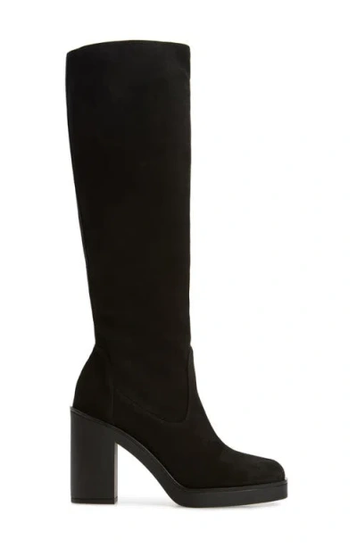 Stuart Weitzman Bethenny Block Heel Tall Boot In Black Sport Suede
