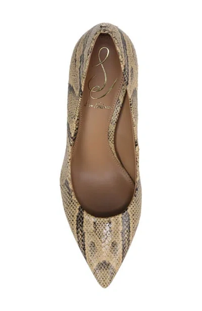 Sam Edelman Hazel Pointed Toe Pump Golden Tan Python Leather In Golden Tan