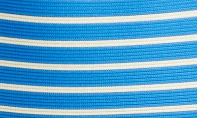 Robin Piccone Parker Tank Bikini Top In Hydra/ecru