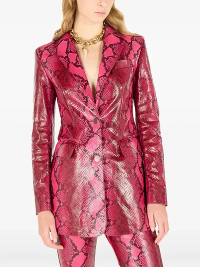 Roberto Cavalli Shiny Python-print Jacket In Rosa