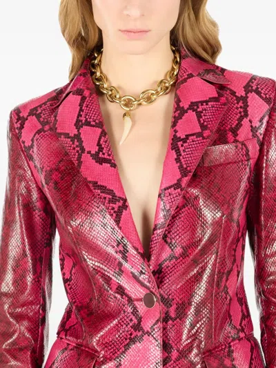 Roberto Cavalli Shiny Python-print Jacket In Rosa
