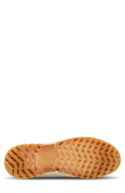 Clae Joshua Sneaker In Offwhite Galapagos