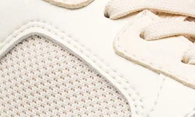 Clae Joshua Sneaker In Offwhite Galapagos