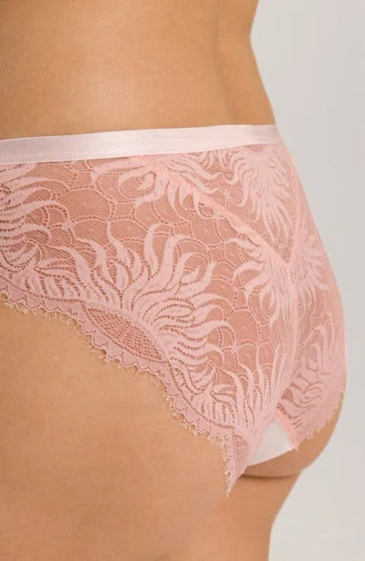 Hanro Gale Lace Back Bikini Briefs In Rosewater