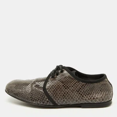Pre-owned Dolce & Gabbana Grey/black Python Lace Up Derby Size 40