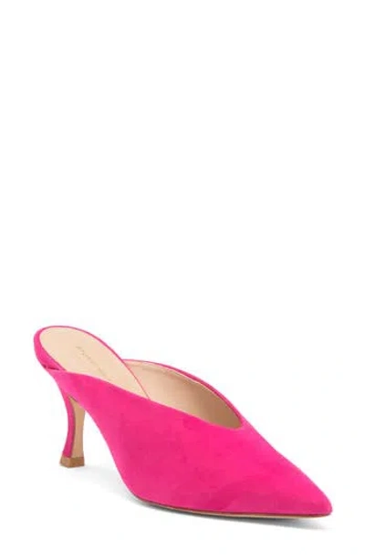 Stuart Weitzman Lula Pointed Toe Pump In Peonia