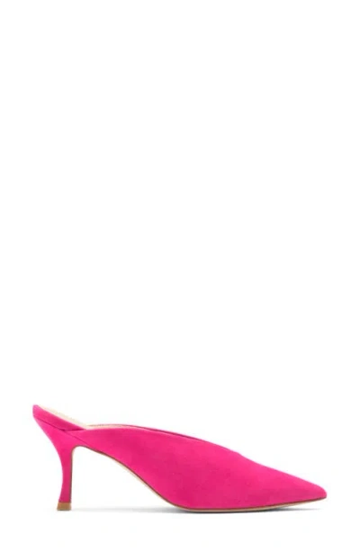 Stuart Weitzman Lula Pointed Toe Pump In Peonia