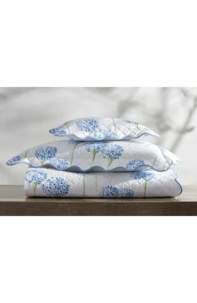 Matouk Floral Cotton Percale Quilt In Azure