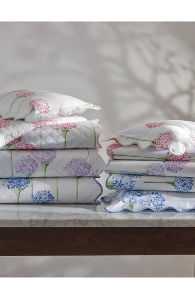 Matouk Floral Cotton Percale Quilt In Lavender
