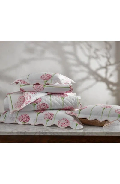 Matouk Floral Cotton Percale Quilt In Peony