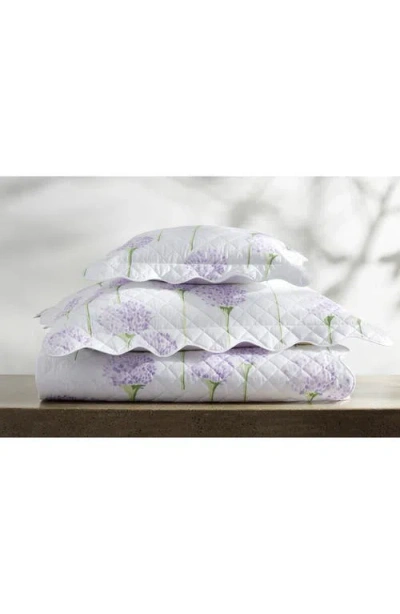 Matouk Floral Cotton Percale Quilt In Lavender