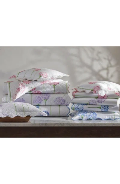 Matouk Floral Cotton Percale Fitted Sheet In Peony
