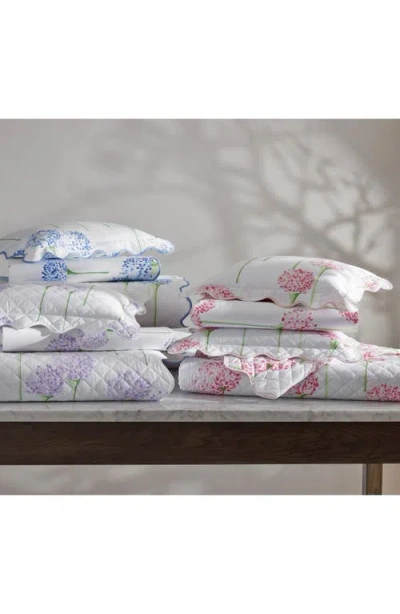 Matouk Floral Cotton Percale Flat Sheet In Lavender