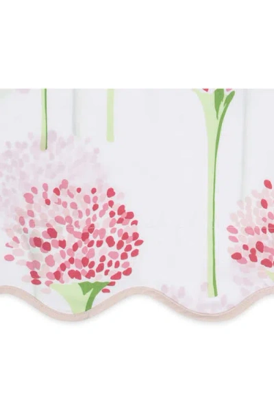 Matouk Floral Cotton Percale Sham In Peony