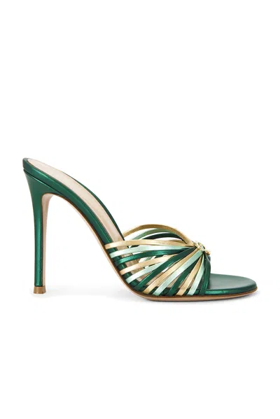 Gianvito Rossi Mule Sandal In Hunter  Aloe  & Mekong