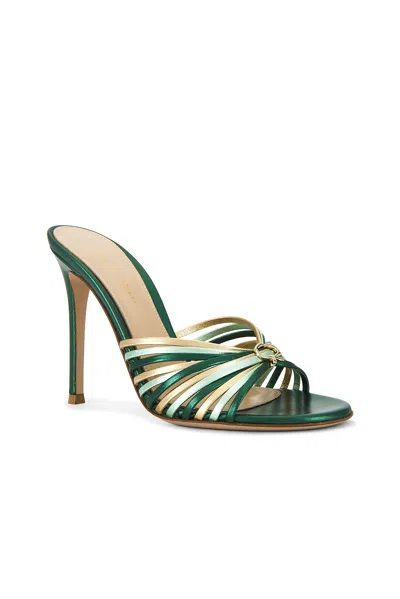 Gianvito Rossi Mule Sandal In Hunter  Aloe  & Mekong