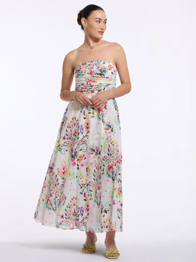 Robert Graham Jane Dress In Multi