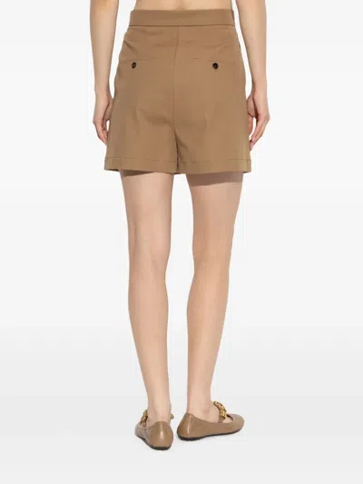 Max Mara Tailored Shorts With Pockets And Pleats In Brown