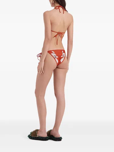 花卉印花比基尼三角裤