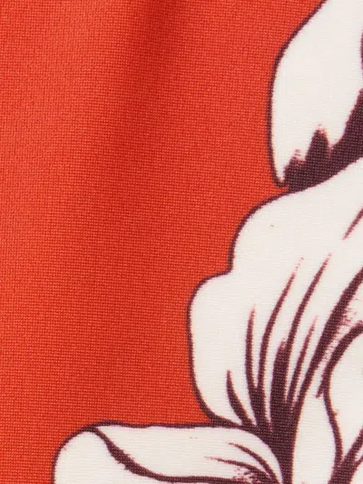 花卉印花比基尼三角裤