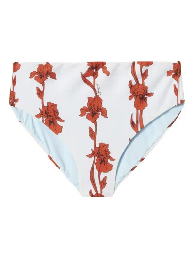 La Doublej Boy Brief In Mini Iris Dark Orange