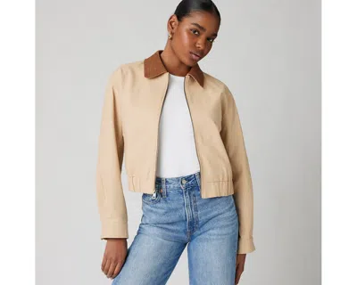 Levi's Laydown Collar Jacket In Black