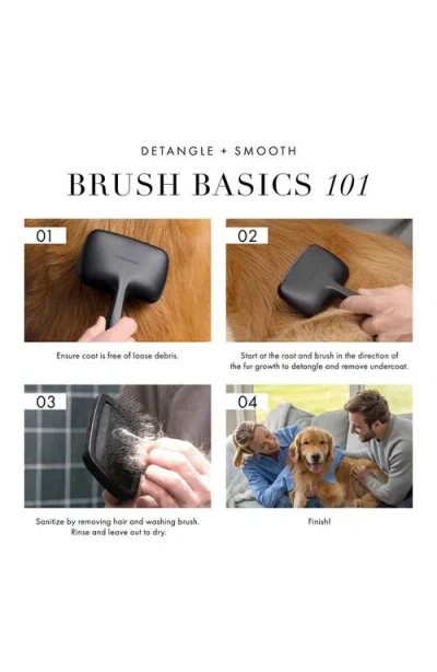 Tweezerman Large Coated Tip Slicker Brush In No Color