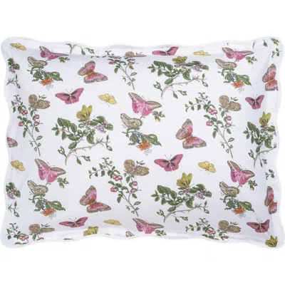 Matouk Baudin Butterfly 500 Thread Count Cotton Percale Sham In Baudin Butterfly Pink