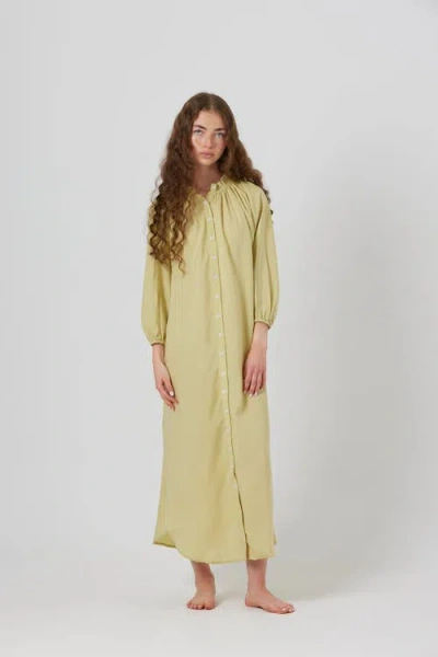 By Tess Collection In Lime
