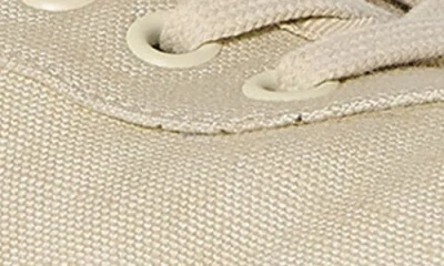 The Row Deportiva Lona Suela Goma Crud In Neutral