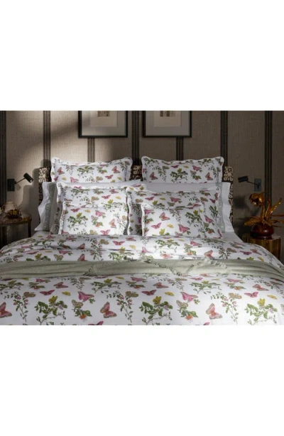 Matouk Baudin Butterfly Print 500 Thread Count 2-pack Pillowcases In Baudin Butterfly Pink