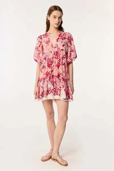 Poupette St Barth Aria Stripe Floral Cotton Cover-up Minidress In Pink Pencilleo
