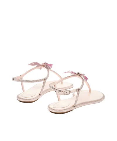 René Caovilla Rene Caovilla Fairy Pink Flat Sandal 10 In Nude