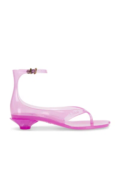 Chloé Chloe Women Fluo Pink Tpu Chloe Jelly Thong Sandals In Pink Fizz