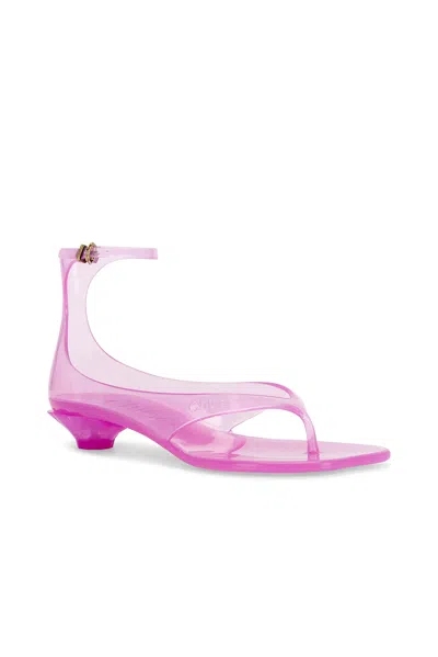 Chloé Chloe Women Fluo Pink Tpu Chloe Jelly Thong Sandals In Pink Fizz