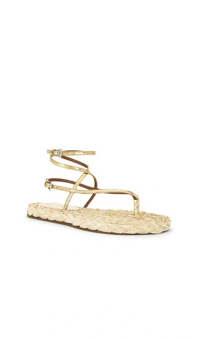 Paris Texas Lace-up Sandals In Natural Raffia And Gold Metallic Python-print Leather In Metallic Gold,neutral