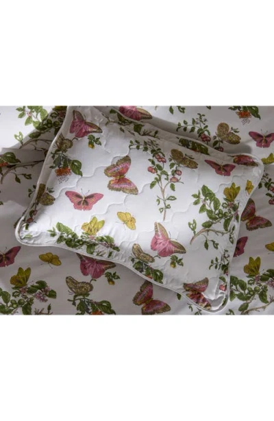 Matouk Baudin Butterfly 500 Thread Count Cotton Percale Fitted Sheet In Baudin Butterfly Pink